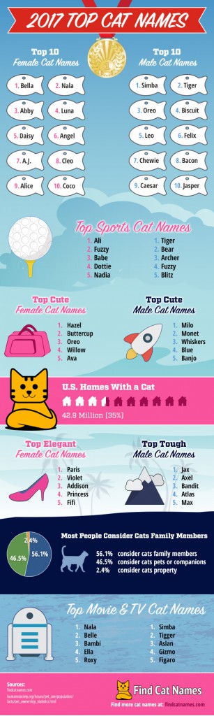 2017-top-cat-names