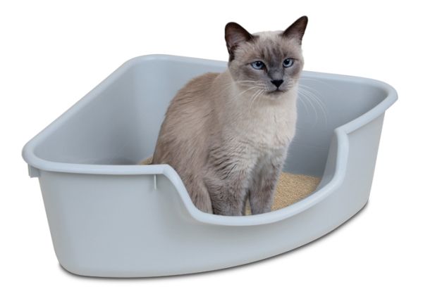 Choosing the Right Litter Box CatBlog