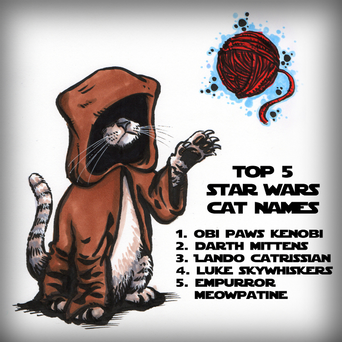 star wars cat tags